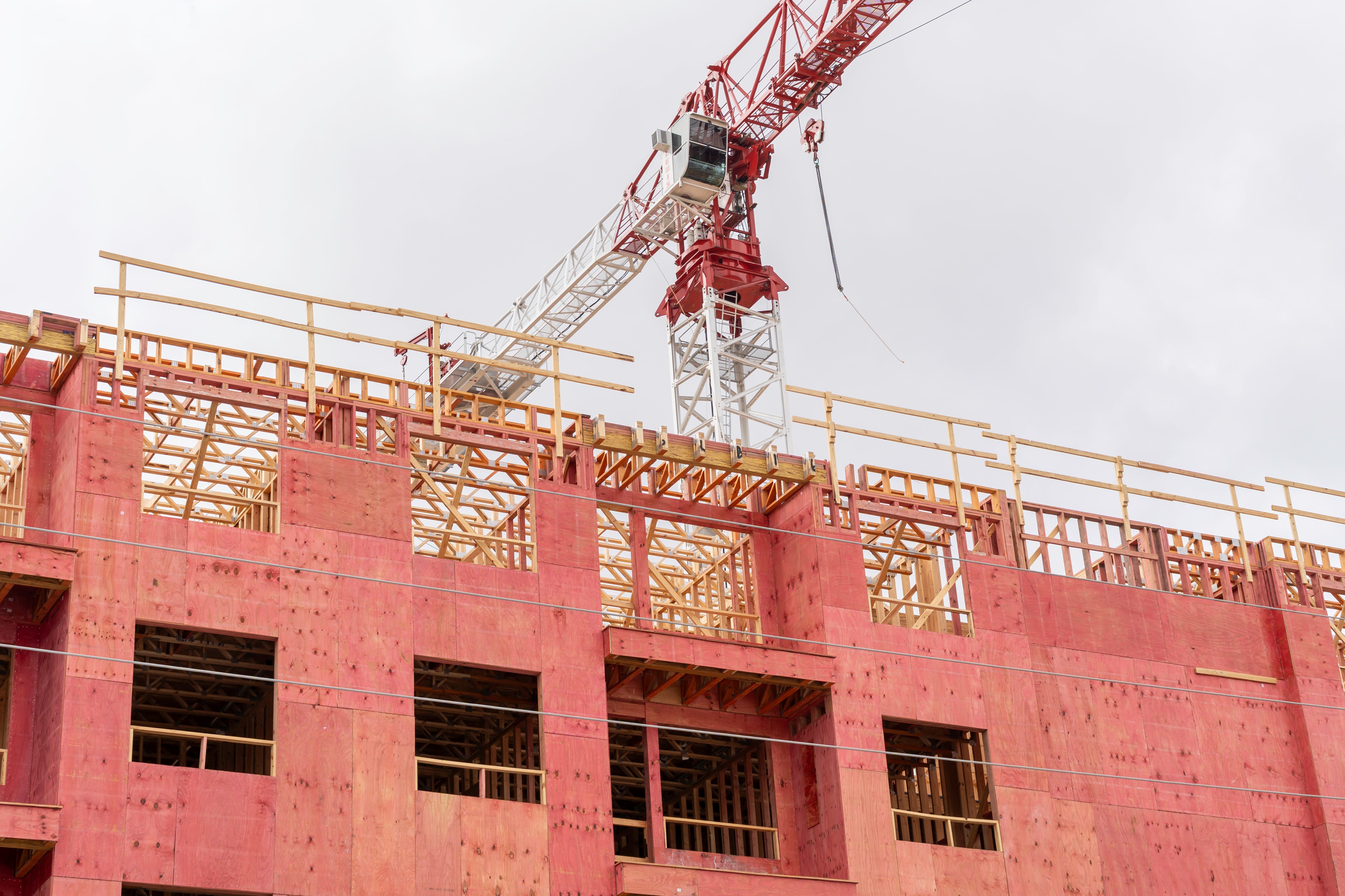 Structural Pressure Treated Framing Timber Stock